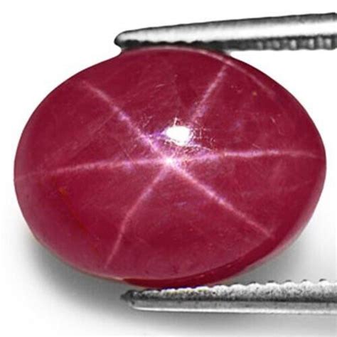 Vietnam Star Ruby 556 Cts Natural Untreated Pinkish Purple Oval Ebay