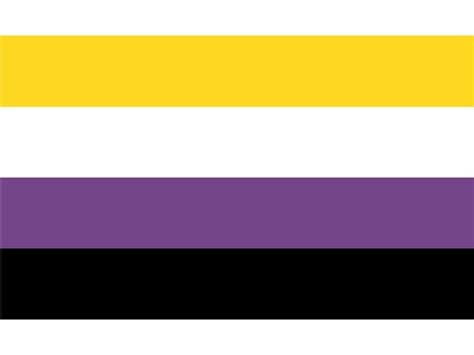 Non Binary Lgbt Flags / Amazon.com : Non-Binary Genderqueer Pride LGBT 