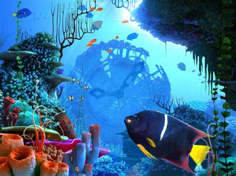 Coral Clock 3d Screensaver 11 Underwater World Reveals Its Secrets
