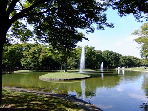 Search the world's information, including webpages, images, videos and more. 代々木公園 3｜SABOの東京名所写真