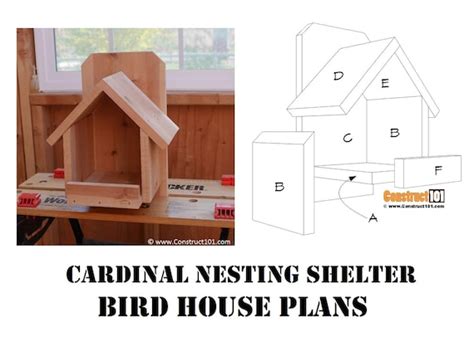 Free Cardinal Birdhouse Plans Pdf Robin Bird Houses Plans Free Luxury