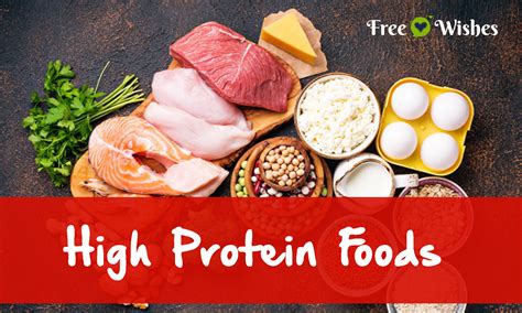 Reasons Why Should We Include High Protein Foods in our Daily Diet ...