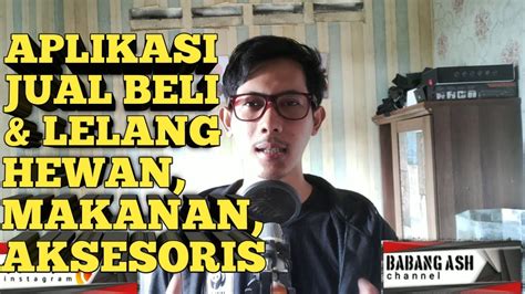99.co group indonesia rumah & griya. APLIKASI JUAL BELI DAN LELANG HEWAN - YouTube