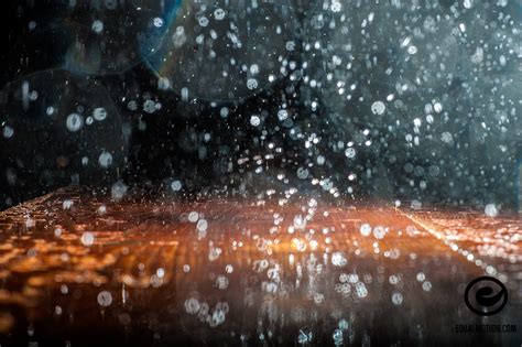 Macro Photography Up Close With The Seattle Rain Equal Motion