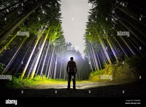 Back View Of Man With Head Flashlight Standing On Forest Ground Road