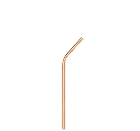Stainless Steel Straw Single Package Free Eco Girl Shop