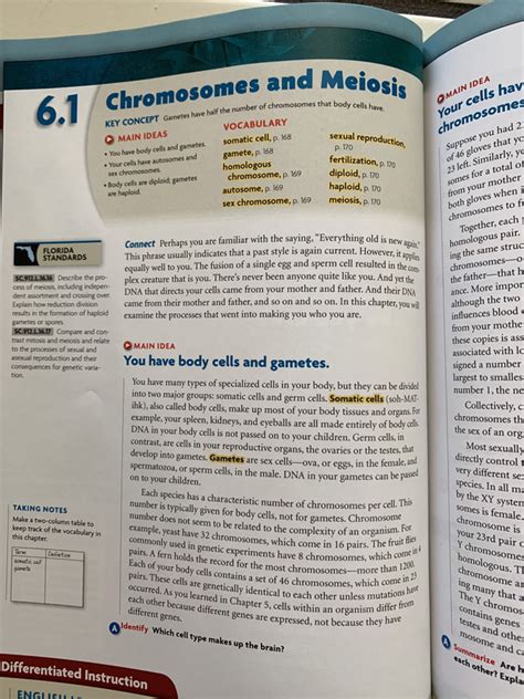 Textbook Pages