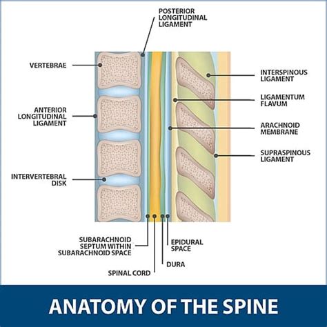 Lumbar Epidural Spinal Injection