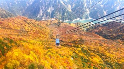 25 Things To Do Around The Tateyama Kurobe Alpine Route And Where To Stay