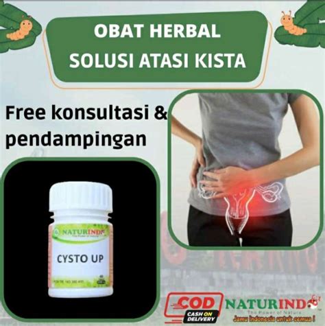 Jual Obat Kista Dan Miom Myom Herbal Coklat Kista Endometriosis Cysta Barth Herbal Naturindo Fit