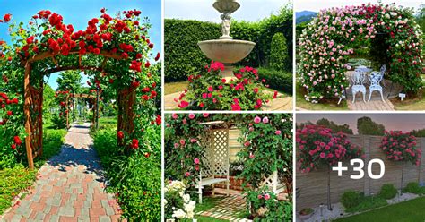 30 Stunning “rose Garden” Ideas For Your Backyard Vidsforwomen