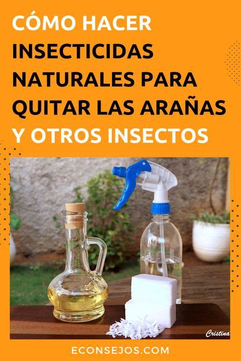 Insecticidas Naturales recetas para quitar las arañas y otros insectos
