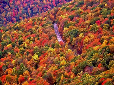 Pin By Fontella Sea On The Tree Of Life West Virginia Virginia Fall