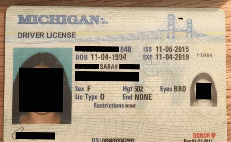 Michigan Id Card Template Home Psd Documents Store Employee Id