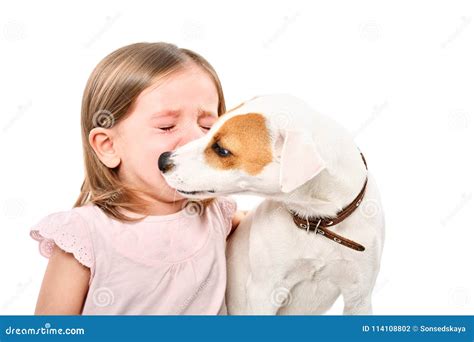 Portrait Of Dog Soothing Little Crying Girl Stock Photo Image Of