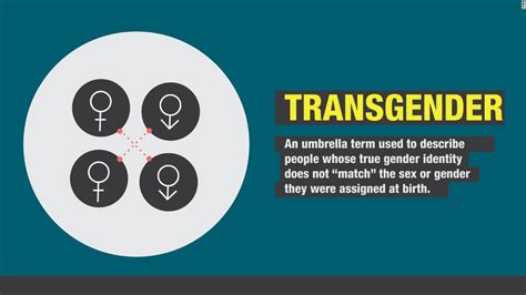 Minnesota Ed Dept Issues ‘transgender Toolkit Guide For Educators