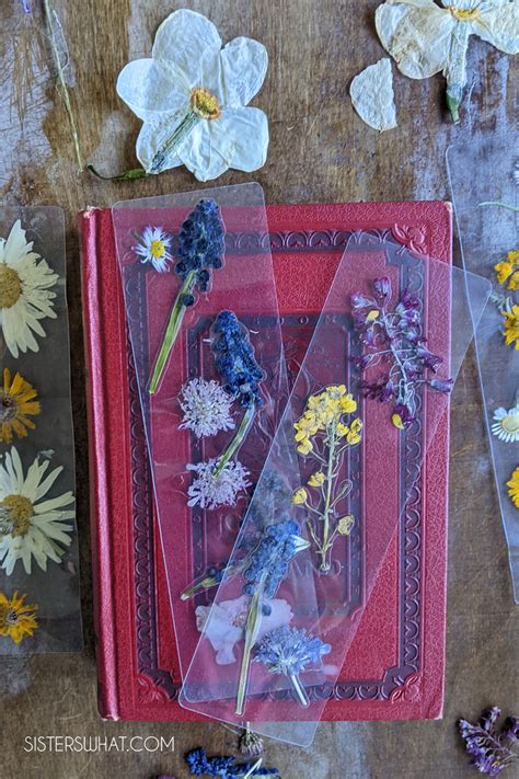 How To Make Pressed Flower Laminated Bookmarks Sisters What
