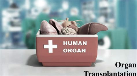 Solution Organ Transplantation Ppt Studypool