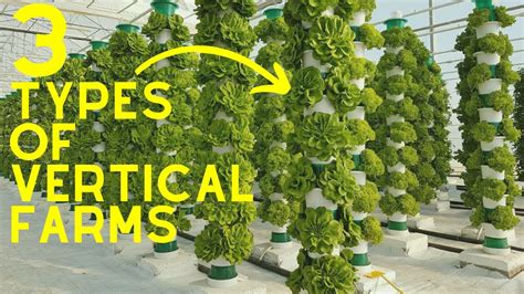 Vertical Farming 2022 3 Different Types Of Vertical Farms