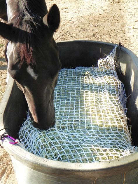 125lb3 String Bale Slow Feed Hay Net Freedom Feeder