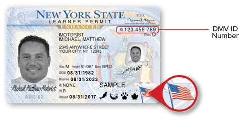 New York License 2022