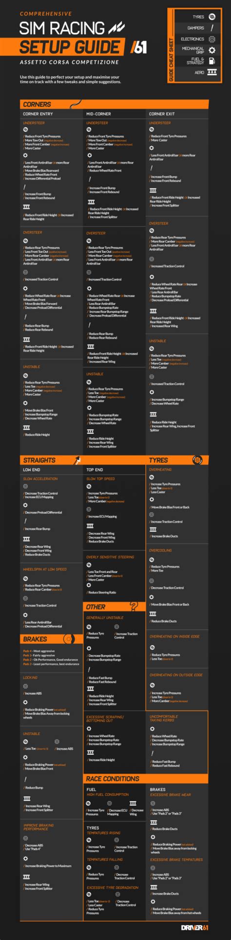Assetto Corsa Competizione Ultimate Setup Guide Driver