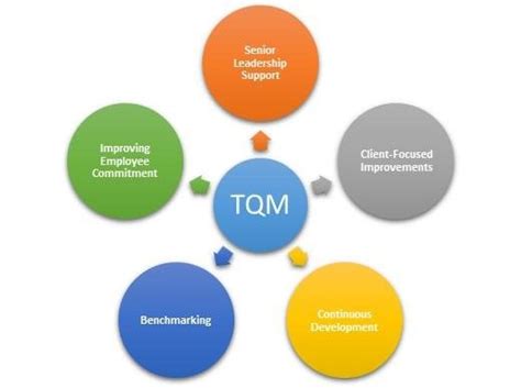 Basics of total quality management & its principles with examples. Key Principles of TQM | Download Scientific Diagram