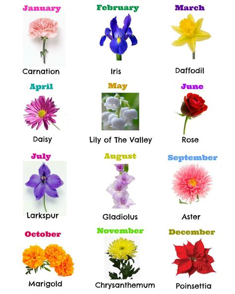 Birth Flowers By Month Interesting Facts And Meanings Birth Flowers