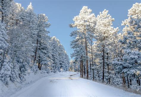Colorado Snowy Landscape