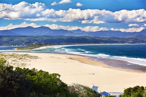 Plettenberg Bay Travel South Africa Lonely Planet