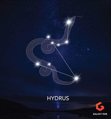 Hydrus Constellation Guide The Male Water Snake Galaxy Hub