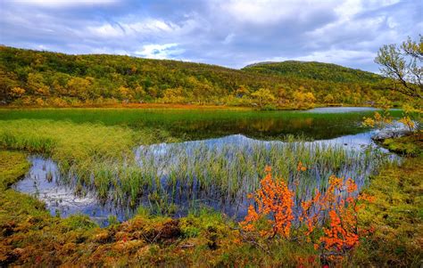 Norway Scenery Rivers Autumn Grass Aunfjellet Nature Wallpapers