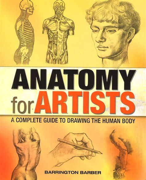 Anatomy For Artists Hab Ilmu