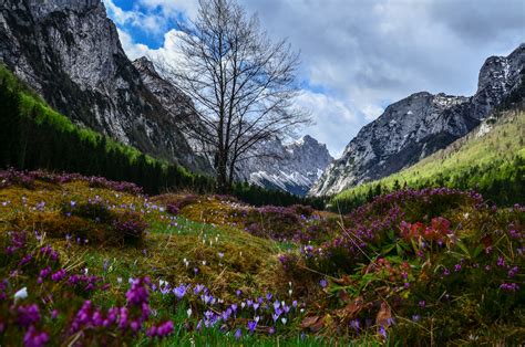 50 Amazing Photos That Show The Beauty Of Slovenia In Spring Travel