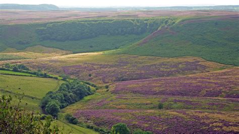 pictures of the north yorkshire moors national park