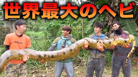世界最大の蛇の大きさがおかしい件について【アマゾン遠征ep2 9】 Youtube