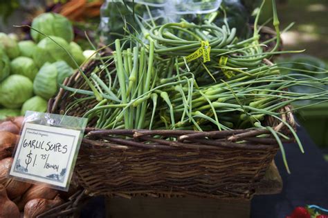 How To Use Garlic Scapes