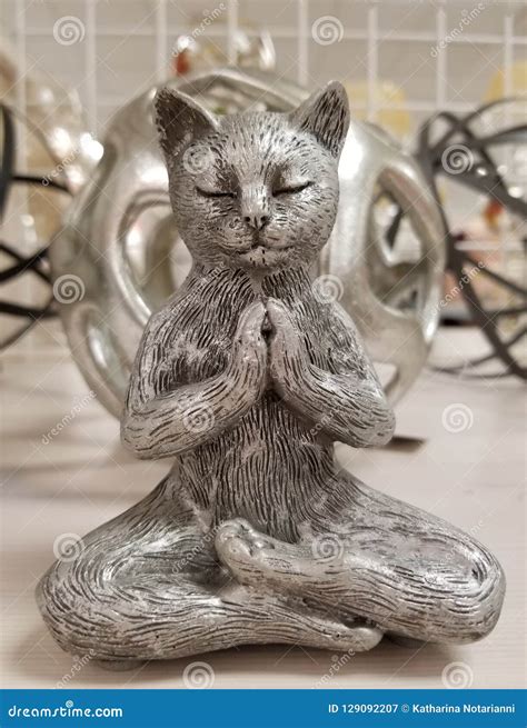 Zen Kitty Cat In Buddha Meditation Pose Stock Image Image Of Yoga