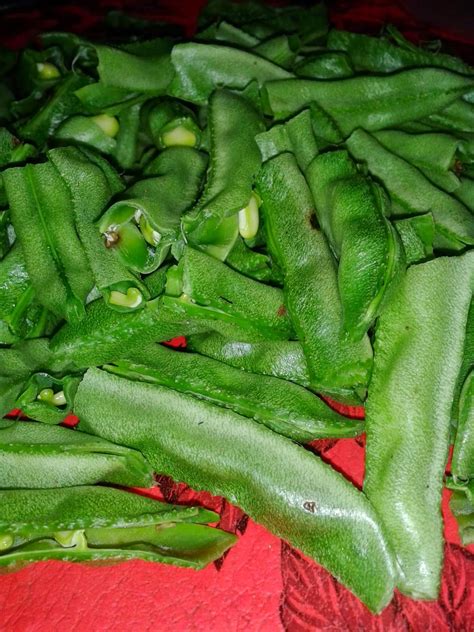 Long beans with belacan * new set lunch menu from the roof restaurant at imperial int'l hotel, warisan sq, kk. BUDIDAYA KACANG KORO PDF