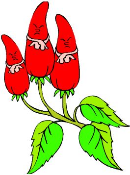 Fantastis 30 Gambar Pohon Cabai Kartun - Miki Kartun