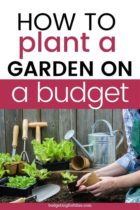 Planting A Garden Vegetable Garden Garden Plants Diy Garden Frugal