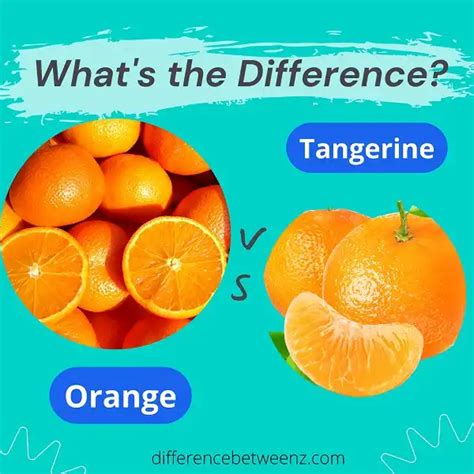 Difference Between Orange And Tangerine Difference Betweenz