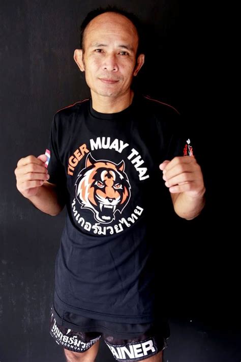 muay thai trainers tiger muay thai and mma training camp phuket thailand