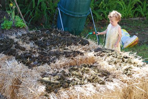 Straw Bale Gardening Instructions Beginners Guide To Straw Bale