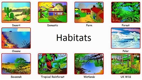 List And Explain The Different Types Of Habitat Jacquelynkruwmccormick