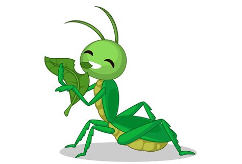 Grasshopper Eating Leaf Cartoon 618772 Vector Art At Vecteezy