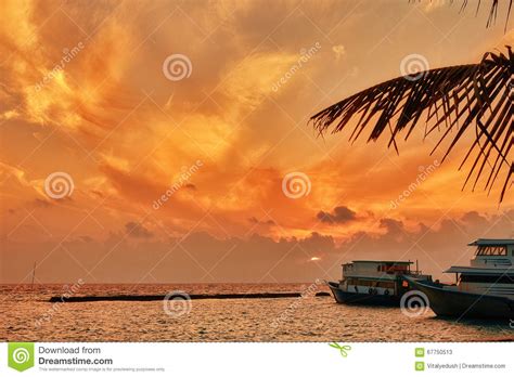 Sunrise On A Tropical Island In The Indian Ocean Stock Image Image