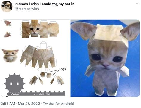 El Gato Cat Meme Papercraft