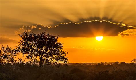Kruger National Park Sunset Wallpaper African Sunset Sunset