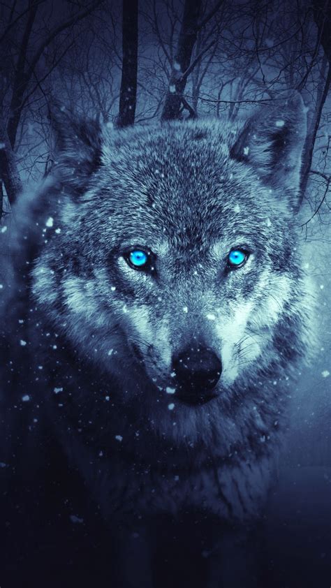 Wolf Wallpaper Handy / Pin By Amilia Sophie Leonhardt On Handy Wolf